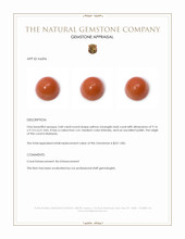3.68 Ct. Salmon (Orangish Red) Cabochon Coral from Malaysia Appraisal