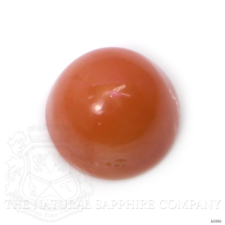 3.68 Ct. Cabochon Coral from Malaysia