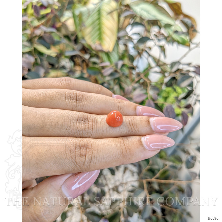 3.68 Ct. Cabochon Coral from Malaysia