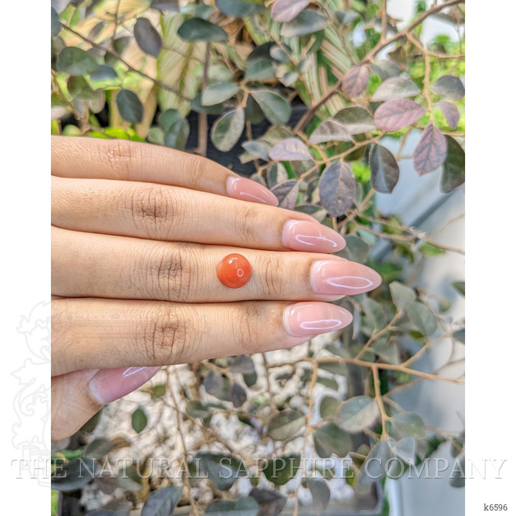 3.68 Ct. Cabochon Coral from Malaysia