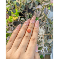 3.68 Ct. Cabochon Coral from Malaysia Life Style