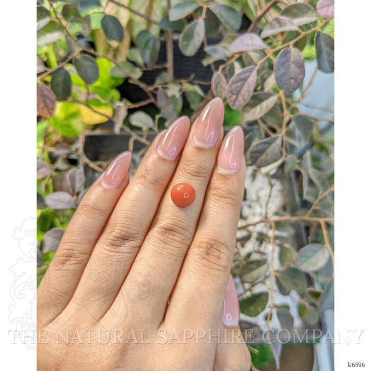 3.68 Ct. Cabochon Coral from Malaysia