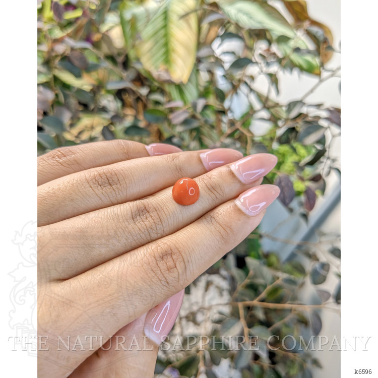3.68 Ct. Cabochon Coral from Malaysia