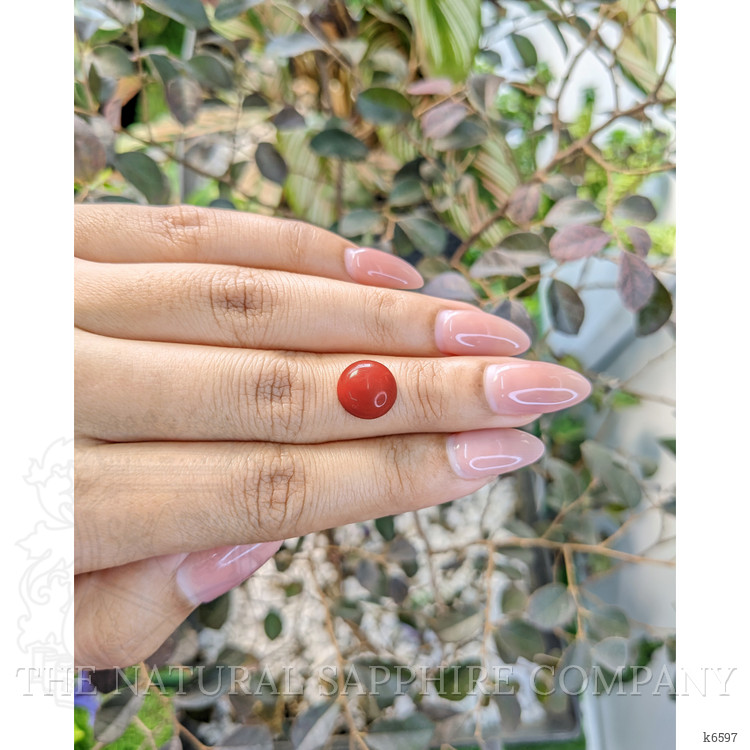 3.05 Ct. Cabochon Coral from Malaysia