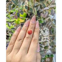 3.05 Ct. Cabochon Coral from Malaysia Life Style