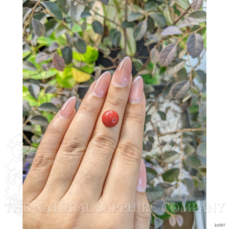 3.05 Ct. Cabochon Coral from Malaysia