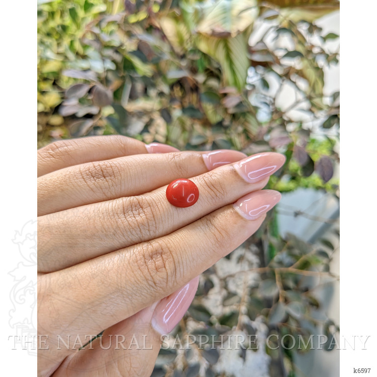 3.05 Ct. Cabochon Coral from Malaysia