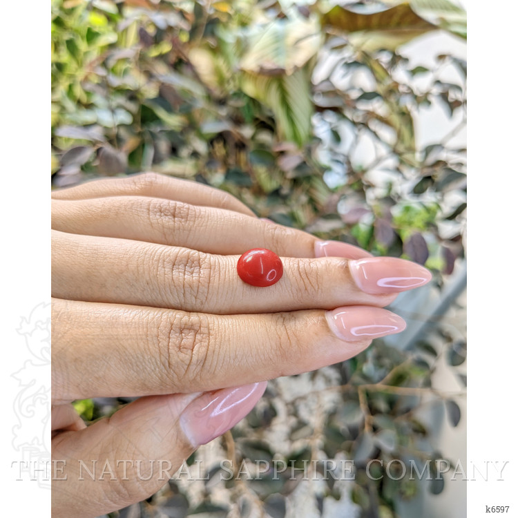 3.05 Ct. Cabochon Coral from Malaysia