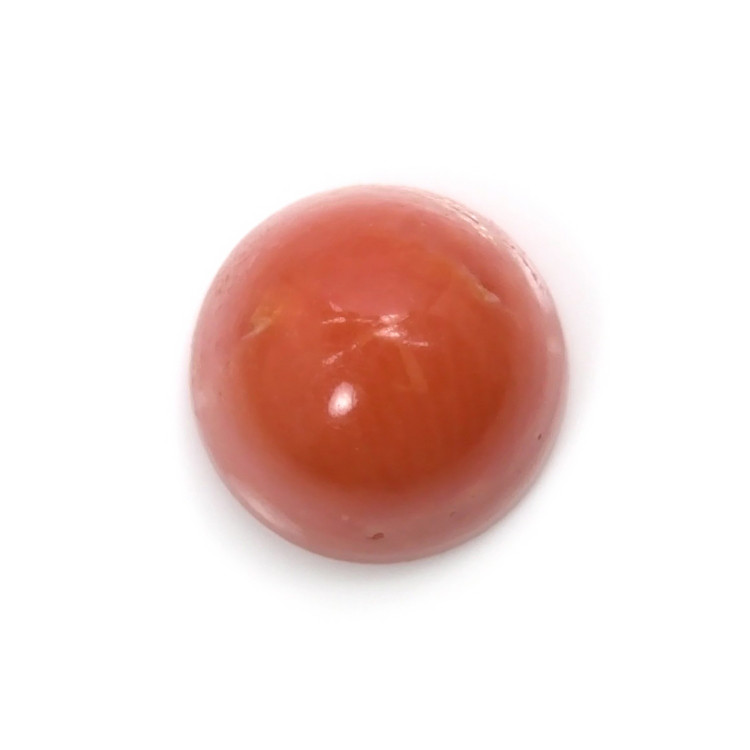 2.62 Ct. Cabochon Coral from Malaysia