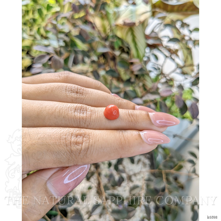 2.62 Ct. Cabochon Coral from Malaysia