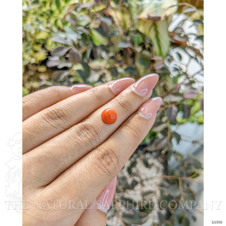 2.62 Ct. Cabochon Coral from Malaysia