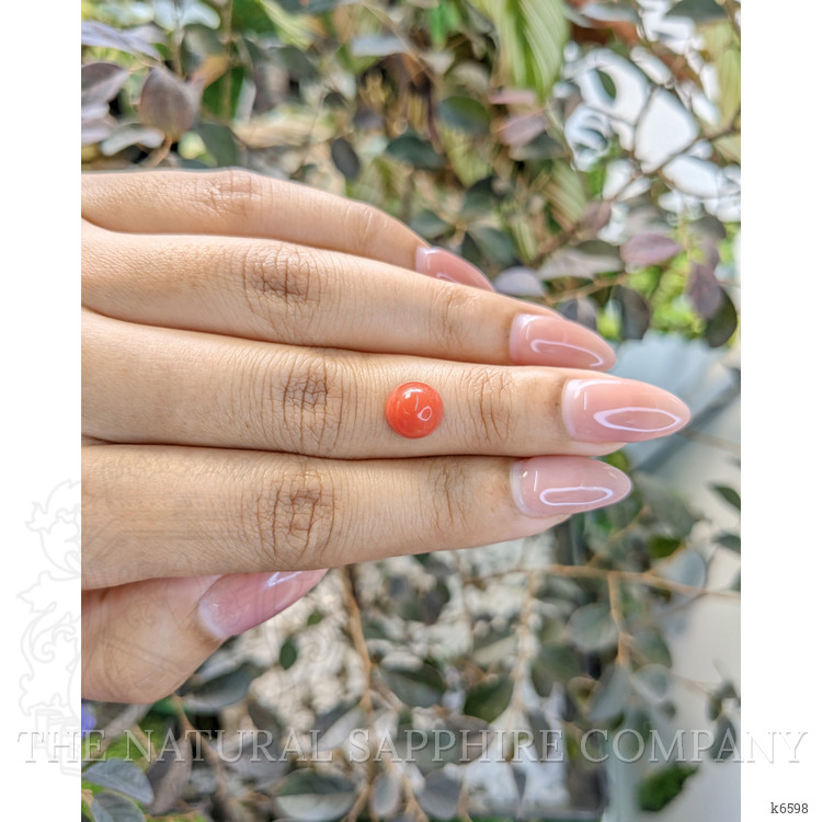 2.62 Ct. Cabochon Coral from Malaysia