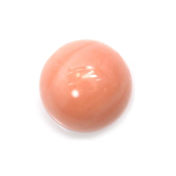 15.61 Ct. Coral from Malaysia