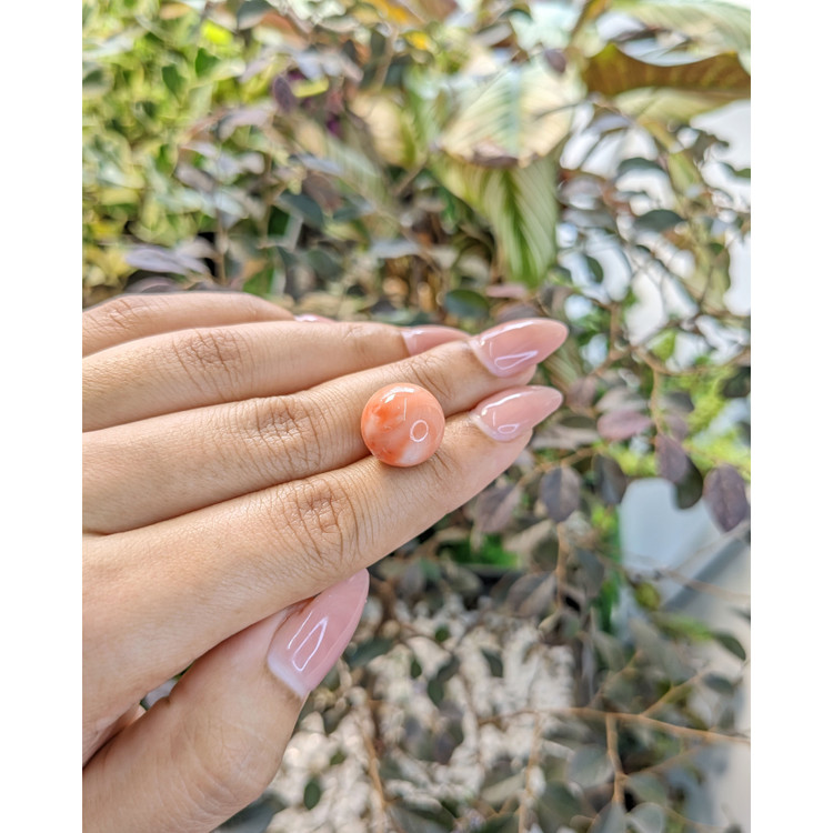 15.61 Ct. Coral from Malaysia