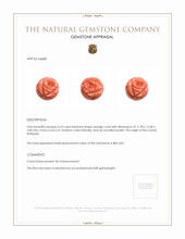 4.23 Ct. Coral from Malaysia Appraisal