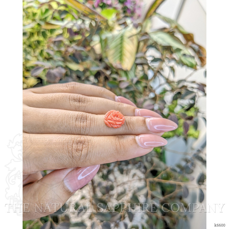 4.23 Ct. Coral from Malaysia