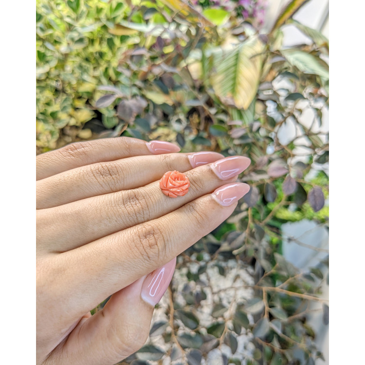 4.23 Ct. Coral from Malaysia