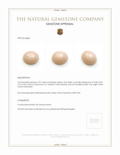 2.97 Ct. Cabochon Coral from Indonesia Appraisal