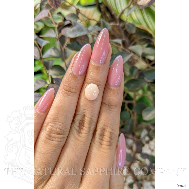 2.97 Ct. Cabochon Coral from Indonesia