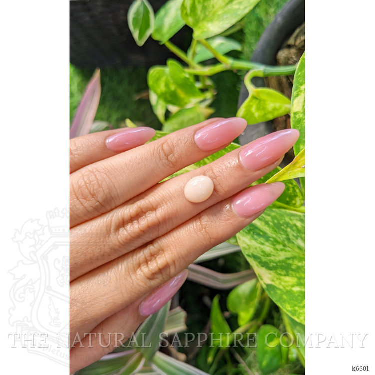 2.97 Ct. Cabochon Coral from Indonesia