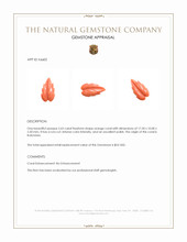 2.63 Ct. Salmon (Orange) Coral from Indonesia Appraisal