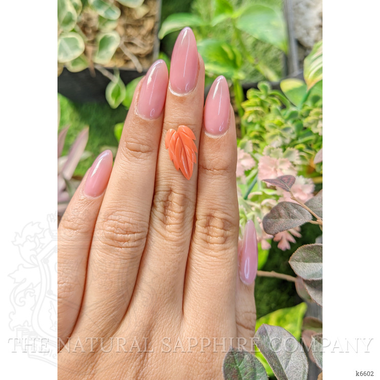 2.63 Ct. Coral from Indonesia