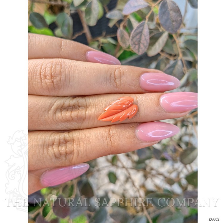 2.63 Ct. Coral from Indonesia