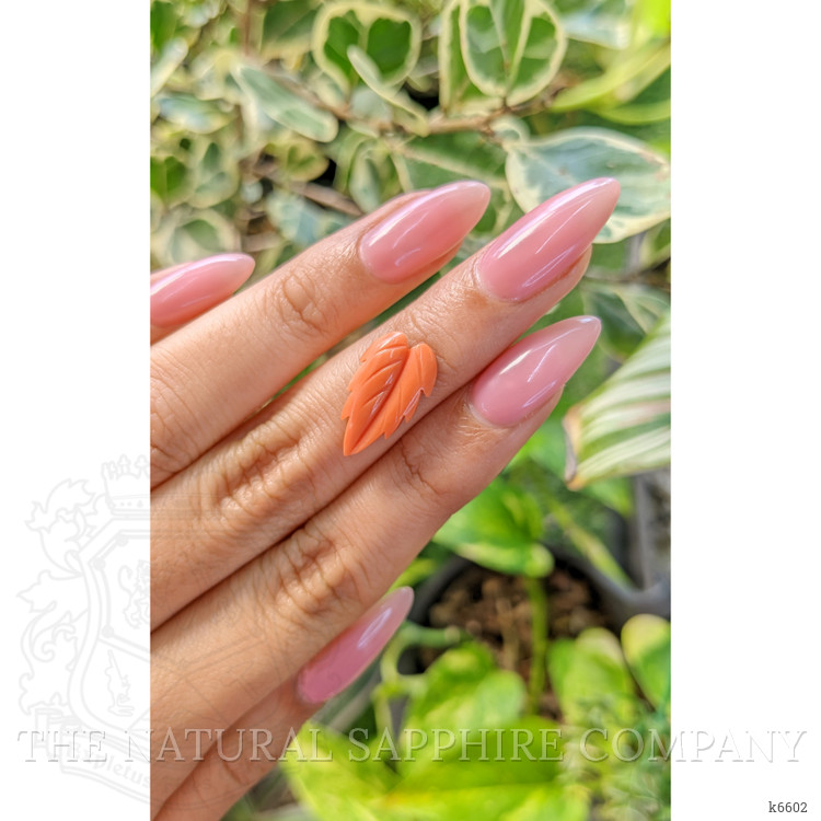 2.63 Ct. Coral from Indonesia