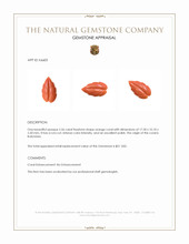 2.56 Ct. Coral from Indonesia Appraisal