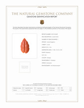 2.56 Ct. Coral from Indonesia Scan Report