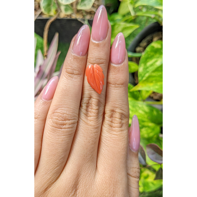 2.56 Ct. Coral from Indonesia