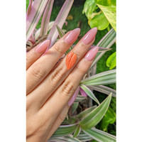 2.56 Ct. Coral from Indonesia Life Style