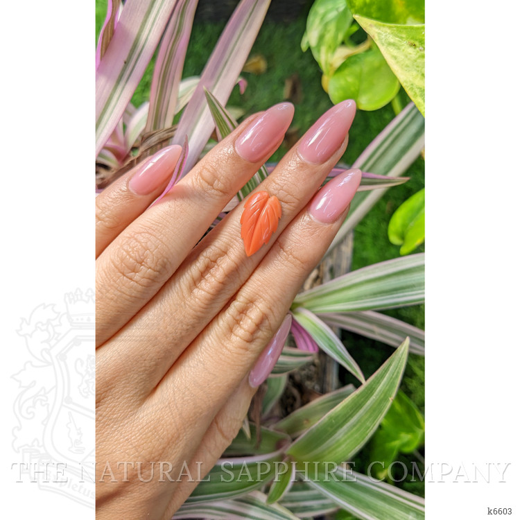 2.56 Ct. Coral from Indonesia