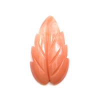 3.84 Ct. Coral from Indonesia Video