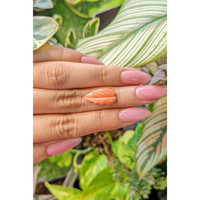 3.84 Ct. Coral from Indonesia Life Style