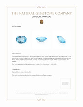 15.26 Ct. Blue Topaz from Ceylon (Sri Lanka) Appraisal
