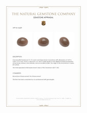 21.73 Ct. Cabochon Moonstone from Ceylon (Sri Lanka) Appraisal