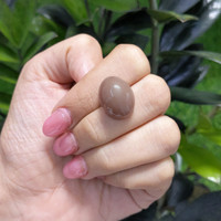 21.73 Ct. Cabochon Moonstone from Ceylon (Sri Lanka) Life Style