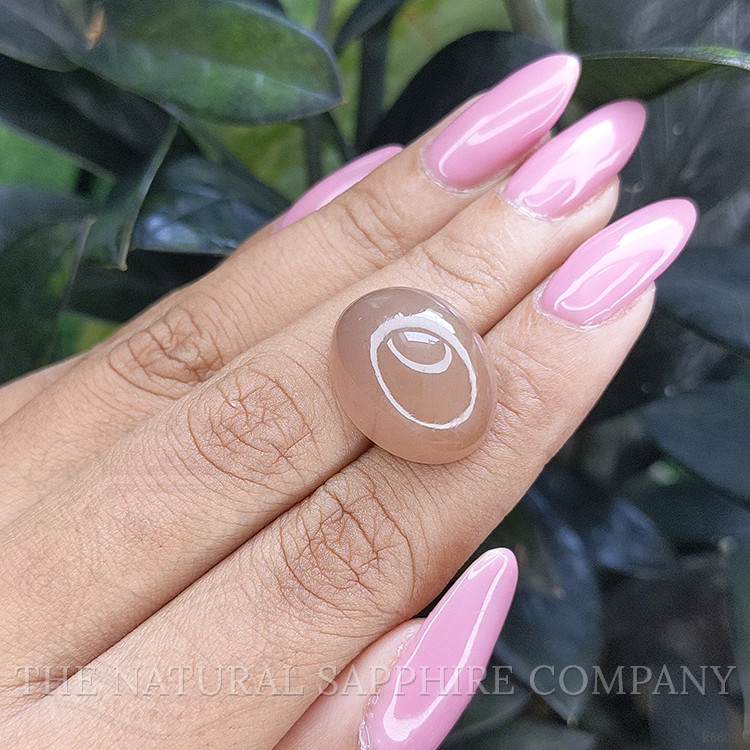 21.73 Ct. Cabochon Moonstone from Ceylon (Sri Lanka)