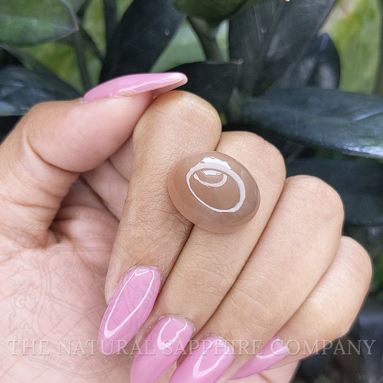 21.73 Ct. Cabochon Moonstone from Ceylon (Sri Lanka)