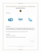 16.57 Ct. Blue Topaz from Ceylon (Sri Lanka) Appraisal