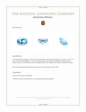 16.57 Ct. Blue Topaz from Ceylon (Sri Lanka) Appraisal