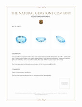 15.82 Ct. Blue Topaz from Ceylon (Sri Lanka) Appraisal
