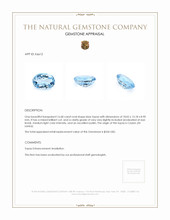 16.68 Ct. Topaz from Ceylon (Sri Lanka) Appraisal