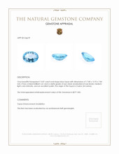 13.87 Ct. Blue Topaz from Ceylon (Sri Lanka) Appraisal