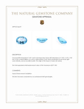 13.87 Ct. Topaz from Ceylon (Sri Lanka) Appraisal