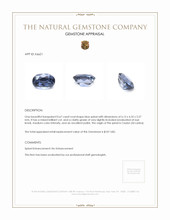 0.67 Ct. Spinel from Ceylon (Sri Lanka) Appraisal