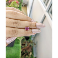 1.50 Ct. Tourmaline from Ceylon (Sri Lanka) Life Style