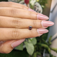 0.97 Ct. Zircon from Ceylon (Sri Lanka) Life Style