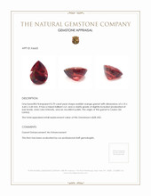 0.70 Ct. Garnet from Ceylon (Sri Lanka) Appraisal